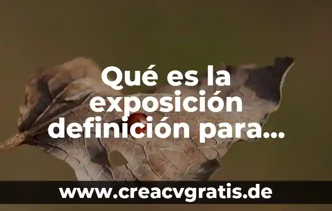 Exposición de partidas contabilidad que es 3 Qué es la exposición definición para niños