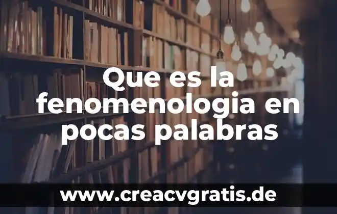 Que es una expresion algebrqica en pocas palabras 6 Que es la fenomenologia en pocas palabras