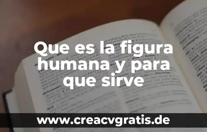 Que es la figura figura diseño 5 Que es la figura humana y para que sirve