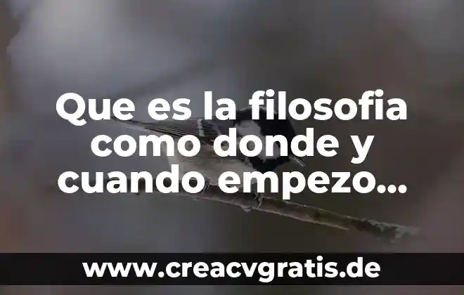 Que es la ley del todo o nada 6 Que es la filosofia como donde y cuando empezo todo