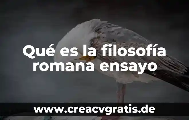 Que es una conclusión en una investigacion 5 Qué es la filosofía romana ensayo