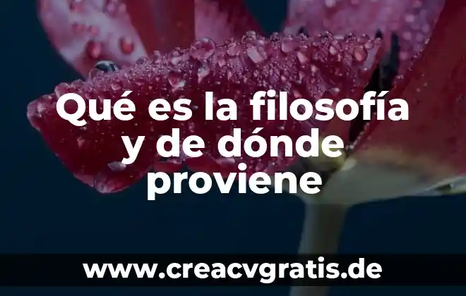 Libros donde explique que es el álgebra 5 Qué es la filosofía y de dónde proviene