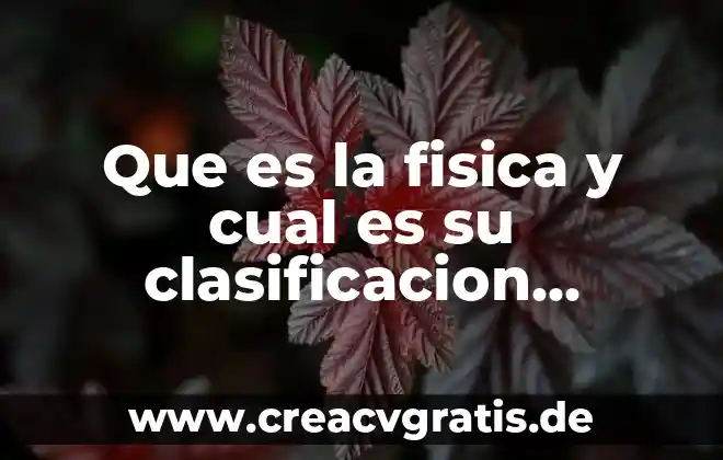 Qué es una filosofía empresarial ejemplo 8 Que es la fisica y cual es su clasificacion ejemplo