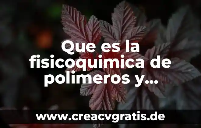 Definicion que es un argumento deductivo 6 Que es la fisicoquimica de polimeros y macromoleculas definicion