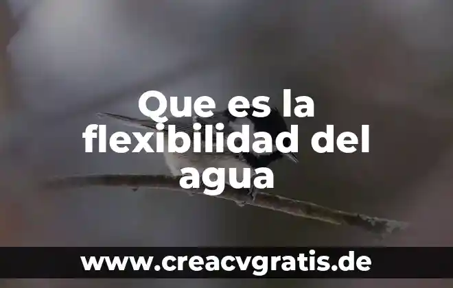 Que es la flexibilidad en las propiedades de la materia 6 Que es la flexibilidad del agua