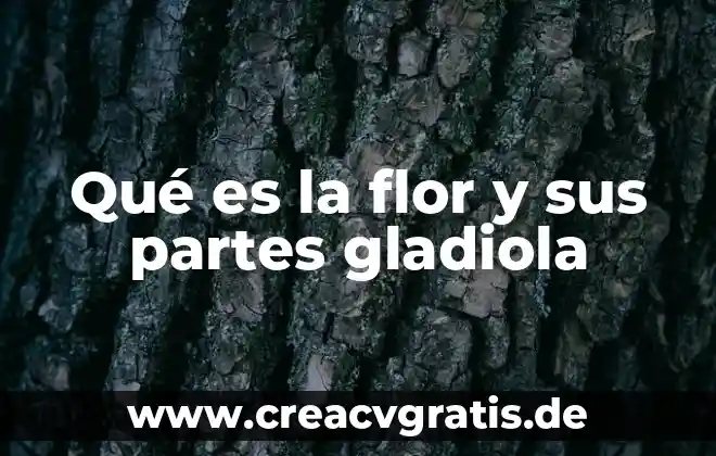 Que es una ficha textual y sus partes 8 Qué es la flor y sus partes gladiola