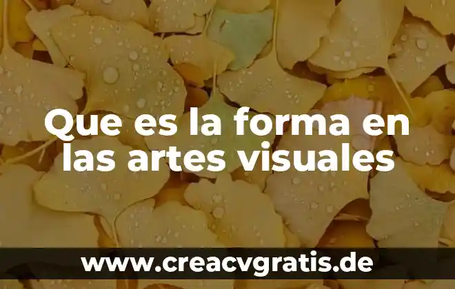 Que es forma y color 4 Que es la forma en las artes visuales