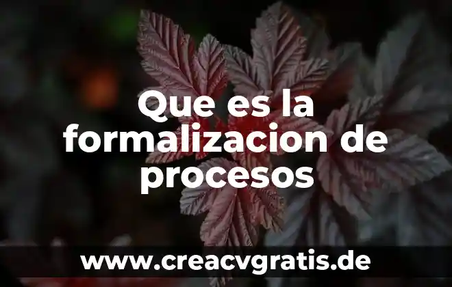 Qué es el dinero según József Robert 5 Que es la formalizacion de procesos