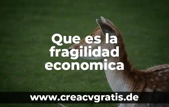 Qué es ideología económica capitalista 6 Que es la fragilidad economica
