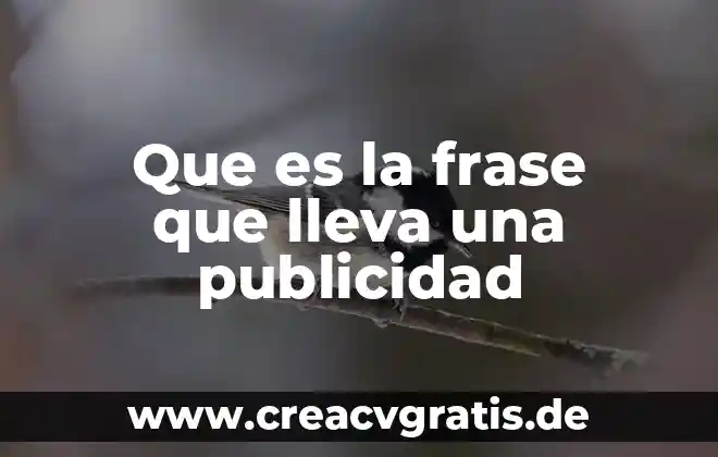 El que es no deja de ser frase 8 Que es la frase que lleva una publicidad