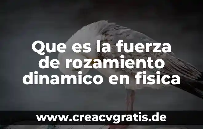 Qué es la fuerza de gravedad definición para niños 6 Que es la fuerza de rozamiento dinamico en fisica