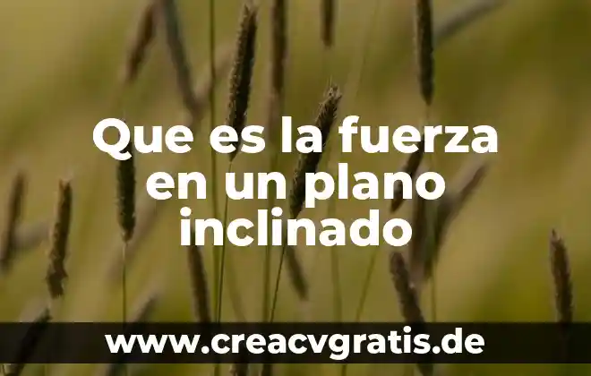 Qué es un plano definición 5 Que es la fuerza en un plano inclinado