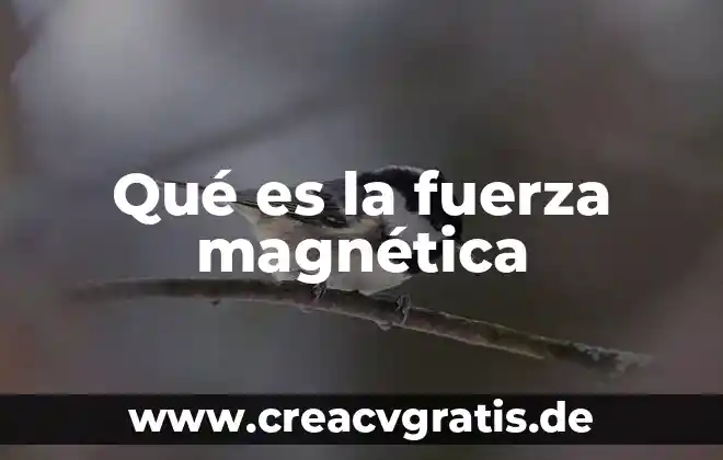 Que es fuerza sométrica 5 Qué es la fuerza magnética