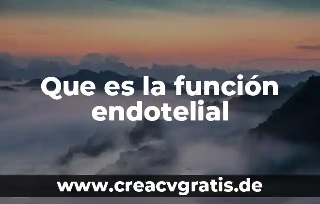 Que es ideograma en literatura 3 Que es la función endotelial
