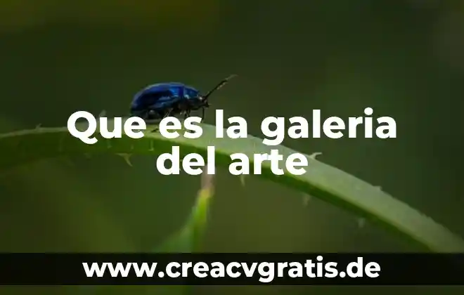 Que es el arte del color 4 Que es la galeria del arte