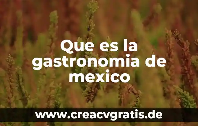 Que es el cuerpo oseo del ser humano 7 Que es la gastronomia de mexico