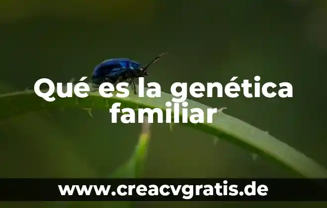 Qué es la connotación positiva en terapia familiar 8 Qué es la genética familiar