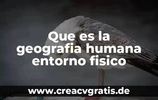Examen fisico cefalo que es 3 Que es la geografia humana entorno fisico