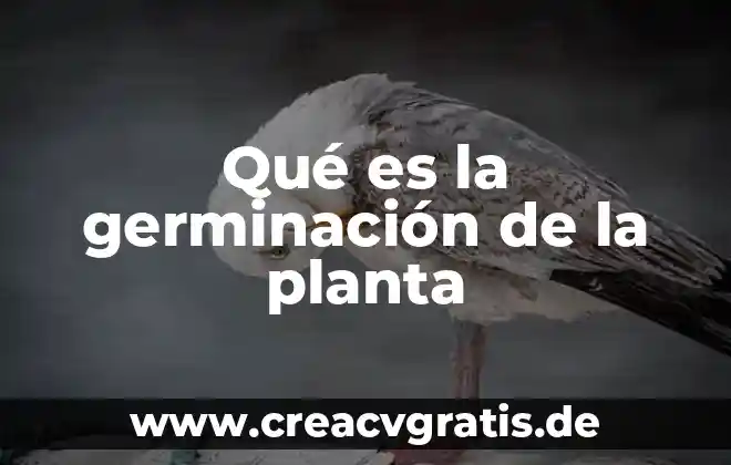 Que es la operacion de la planta 7 Qué es la germinación de la planta