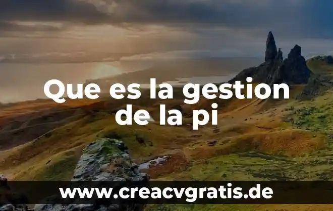 Que es analista de gestion 8 Que es la gestion de la pi