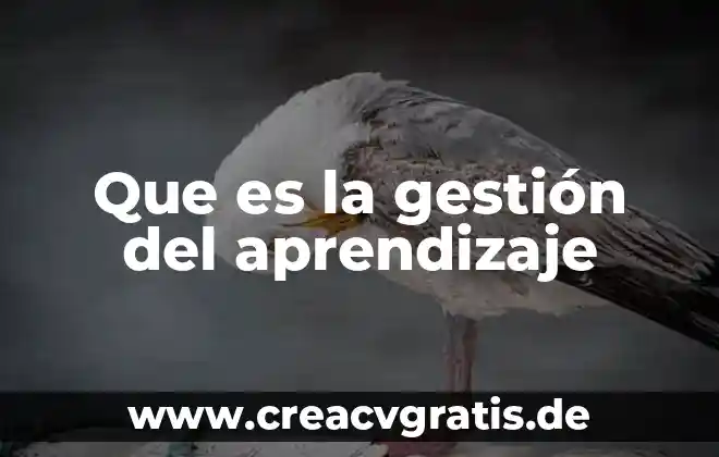 Qué es el aprendizaje del número 3 Que es la gestión del aprendizaje