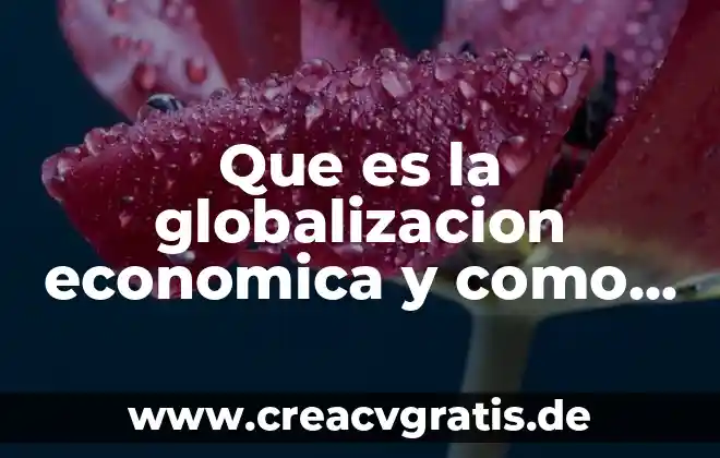 Brecha económica que es 5 Que es la globalizacion economica y como surge