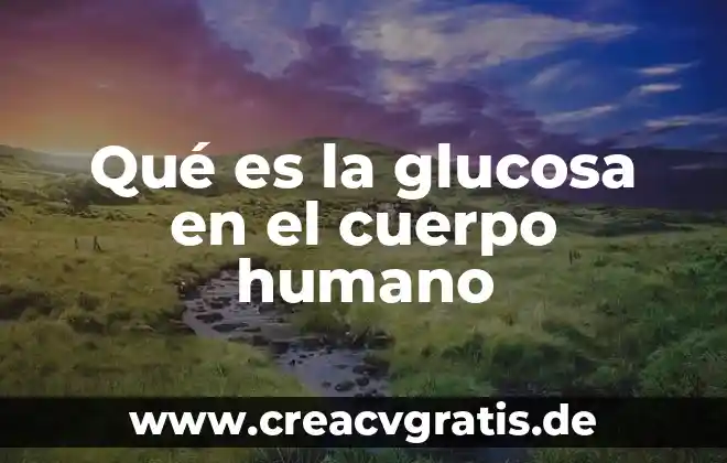 Que es el agua en el cuerpo 3 Qué es la glucosa en el cuerpo humano