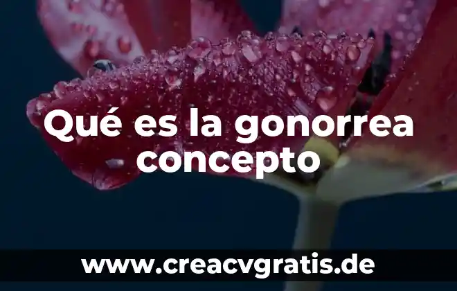 El concepto de que es una segunda lengua con autoridad 8 Qué es la gonorrea concepto