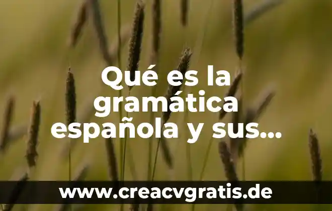 Qué es la flor y sus partes gladiola 5 Qué es la gramática española y sus partes