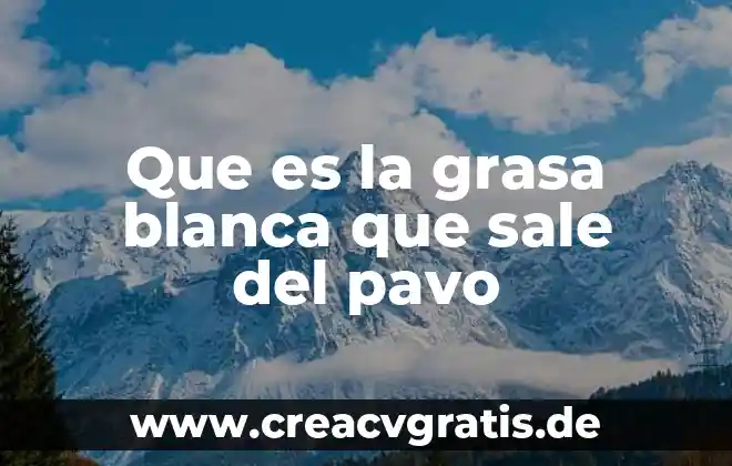 Que es la grasa significado 4 Que es la grasa blanca que sale del pavo