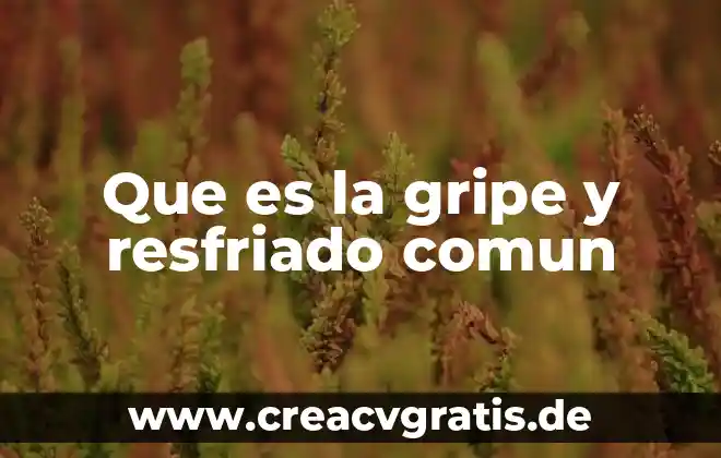 Es más mala la gripe que el resfriado 8 Que es la gripe y resfriado comun