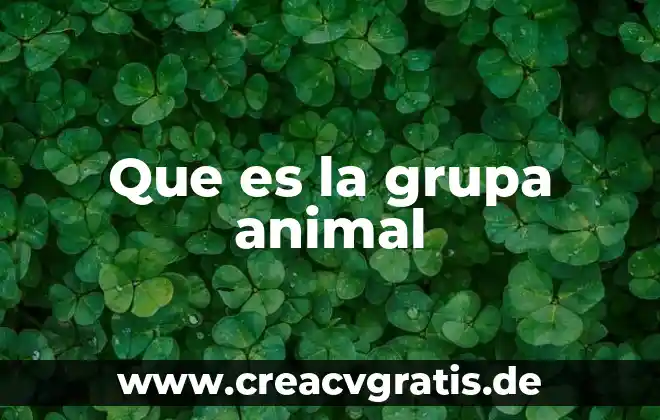 Qué es un coli animal 6 Que es la grupa animal