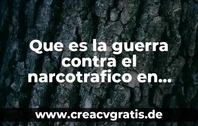 Qué es un delito contra la salud definición 6 Que es la guerra contra el narcotrafico en mexico