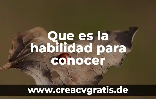Para la psicología social qué es una habilidad 4 Que es la habilidad para conocer