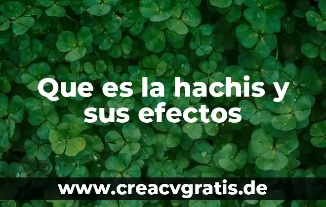 Qué es el régimen voluntario para efectos del IMSS 7 Que es la hachis y sus efectos