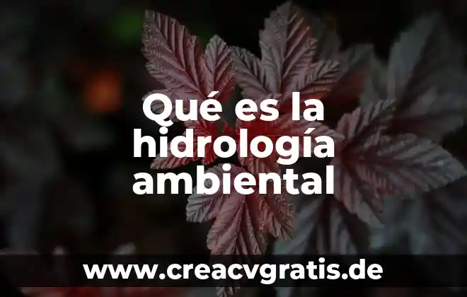 Qué es un número ambiental 8 Qué es la hidrología ambiental