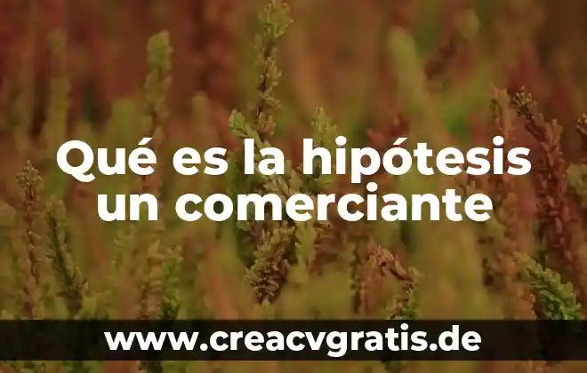 Que es objetivos hipótesis formulación de l problema 8 Qué es la hipótesis un comerciante