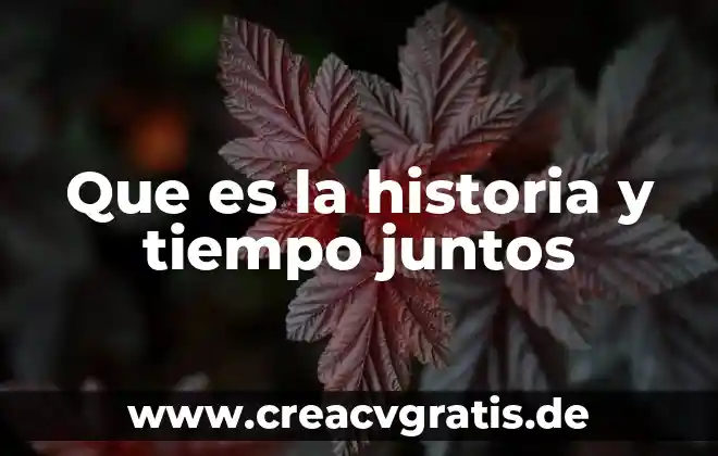 Que es mas valioso el tiempo o el dinero 3 Que es la historia y tiempo juntos