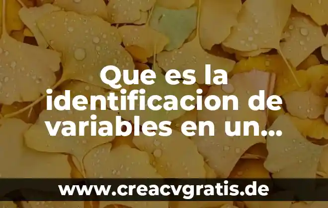 Qué es el número nacional de identificación 3 Que es la identificacion de variables en un proyecto