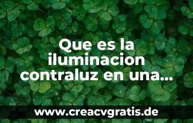Que es un animal bite 3 Que es la iluminacion contraluz en una obra