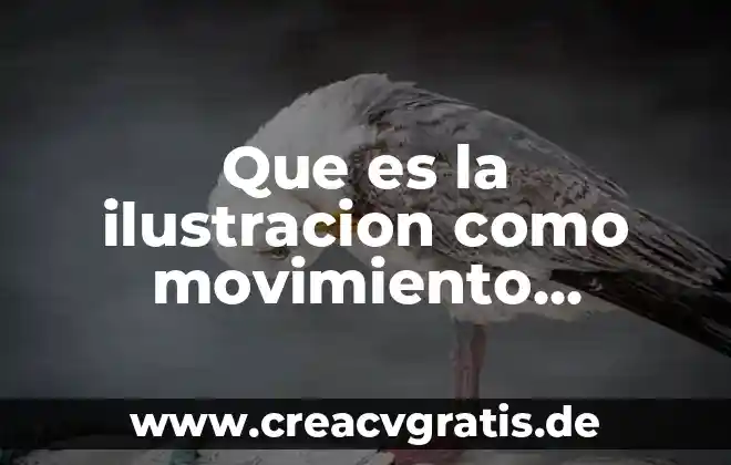 Que es el concepto en la ilustración 3 Que es la ilustracion como movimiento historico