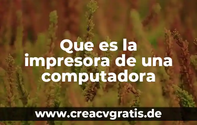 Que es un puerto para la pila de una computadora 8 Que es la impresora de una computadora