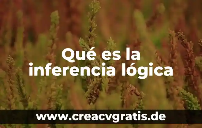 Que es significado cuantitativo 3 Qué es la inferencia lógica