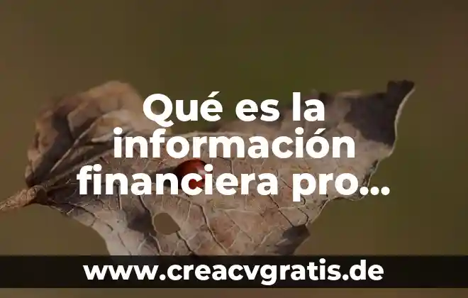 Qué es teoría del procesamiento de la información 8 Qué es la información financiera pro forma