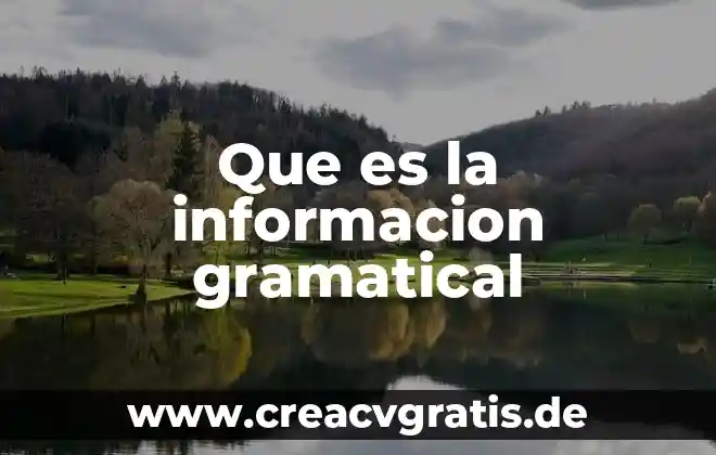 Qué es teoría del procesamiento de la información 4 Que es la informacion gramatical