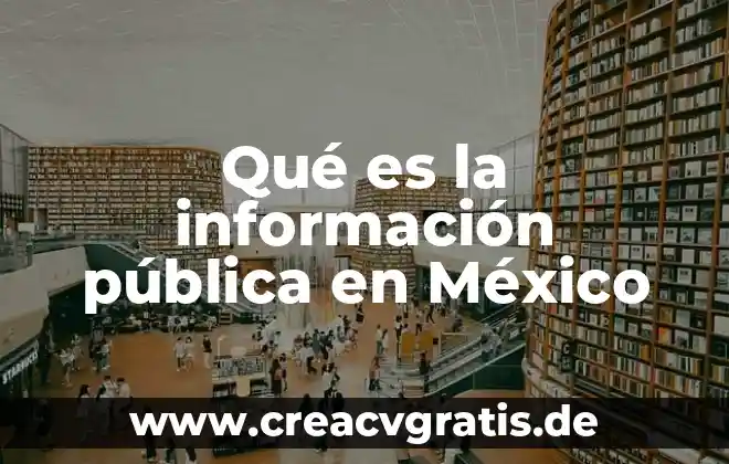 Qué es lemongrass en México 7 Qué es la información pública en México