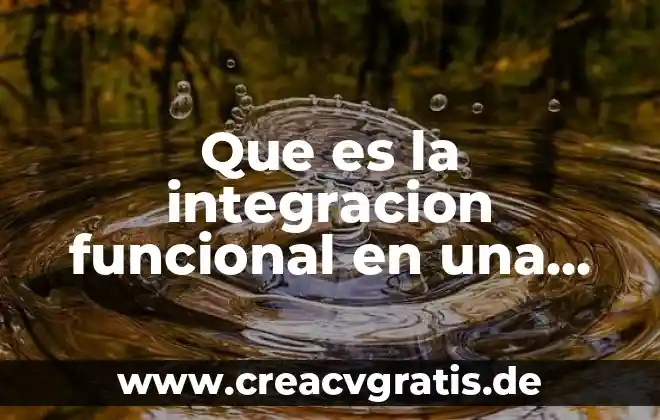 Que es una linea de autoridad funcional en un organigrama 5 Que es la integracion funcional en una zona metropolitana