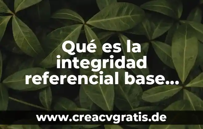 Qué es realidad en base de datos 3 Qué es la integridad referencial base de datos