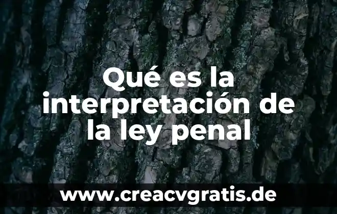 Que es la analogia en el derecho penal 5 Qué es la interpretación de la ley penal