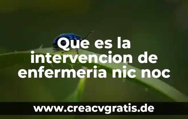 Que es nic noc y nanda en enfermeria 6 Que es la intervencion de enfermeria nic noc